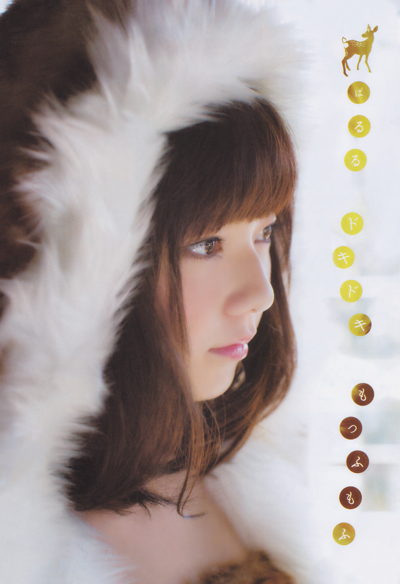 Magazine,%20Shimazaki%20Haruka-348308.jp