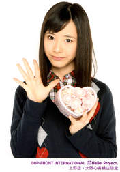 Ikuta Erina,
