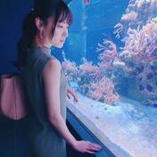Yajima Maimi,