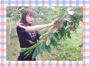 
Kudo Yume,


