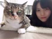Michishige Sayumi,