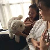 Hagiwara Mai,