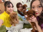 Kishimoto Yumeno,
Niinuma Kisora,
Tanimoto Ami,