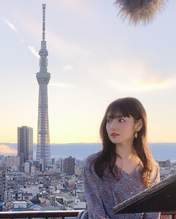 Michishige Sayumi,
