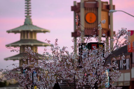 San Francisco's Japan Town