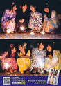 
SKE48,


Kizaki Yuria,


Matsui Jurina,


Matsui Rena,


Yagami Kumi,


Ogiso Shiori,


Takayanagi Akane,


Mukaida Manatsu,


Magazine,


Kimoto Kanon,

