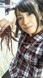 
blog,


Sato Seira,

