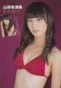 
Magazine,


Yamagishi Natsumi,

