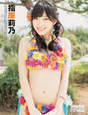 
Magazine,


Sashihara Rino,

