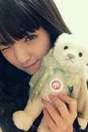 
blog,


Michishige Sayumi,

