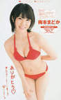 
Magazine,


Umemoto Madoka,

