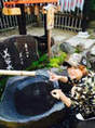 
blog,


Takeuchi Akari,

