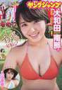 
Magazine,


Owada Nana,

