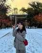 
Ishida Ayumi,

