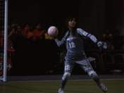 
Konno Asami,


Gatas Brilhantes H.P.,

