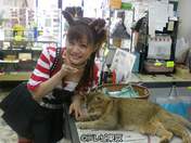 
Niigaki Risa,


Haromoni,

