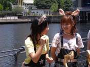 
Kamei Eri,


Haromoni,


Takahashi Ai,

