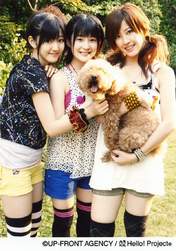 
Natsuyaki Miyabi,


Tsugunaga Momoko,


Suzuki Airi,


Buono!,

