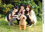 
Natsuyaki Miyabi,


Tsugunaga Momoko,


Suzuki Airi,


Buono!,

