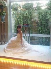 
Sato Sumire,


blog,

