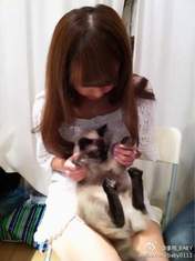 "Li Chun, Junjun",
blog,