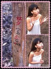 
blog,


"Li Chun, Junjun",

