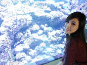 
blog,


"Zeng De Ping, Peipei",

