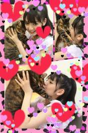 
blog,


Michishige Sayumi,

