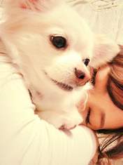 
blog,


Nito Moeno,

