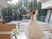 
blog,


Tanaka Reina,

