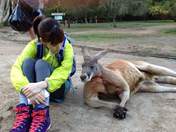 
blog,


Maeda Atsuko,

