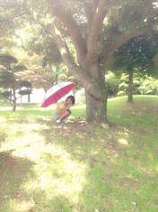 
blog,


Yamauchi Suzuran,

