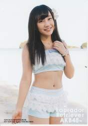 
Yabushita Shu,

