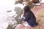 
blog,


Tashima Meru,


