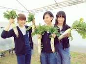 
Anai Chihiro,


blog,


Kodama Haruka,


Tashima Meru,

