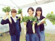 
Anai Chihiro,


blog,


Kodama Haruka,


Tashima Meru,

