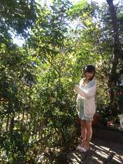 
blog,


Nishino Miki,

