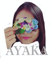 
blog,


Wada Ayaka,

