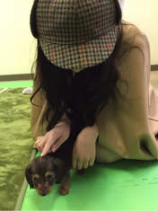 
blog,


Fukumura Mizuki,

