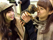 
blog,


Fukumura Mizuki,


Ishida Ayumi,

