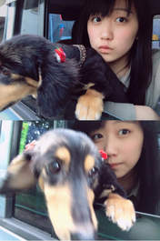 
blog,


Wada Sakurako,

