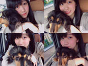 
blog,


Wada Sakurako,

