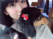 
blog,


Wada Sakurako,

