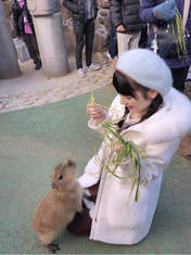 
blog,


Michishige Sayumi,

