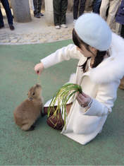 
blog,


Michishige Sayumi,

