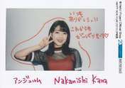 
Nakanishi Kana,

