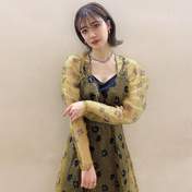 
Natsuyaki Miyabi,

