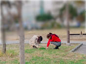 
Kanazawa Tomoko,


Kudo Yume,

