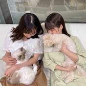 
Fukumura Mizuki,


Nonaka Miki,

