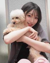 
Miyamoto Karin,

